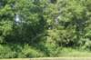 dsc00778_small.jpg