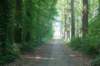dsc00810_small.jpg