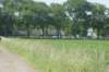 dsc00813_small.jpg
