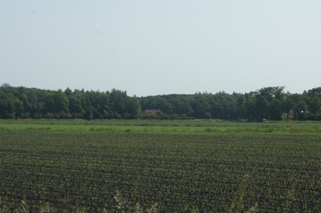 dsc00814.jpg