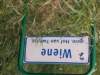 dsc01344_small.jpg
