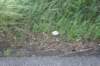 dsc01349_small.jpg