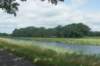 dsc01352_small.jpg