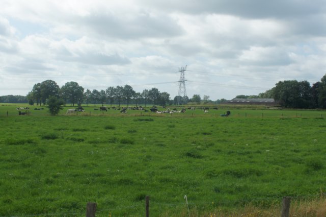 dsc01357.jpg