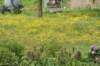 dsc01370_small.jpg