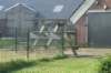 dsc01074_small.jpg
