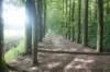 dsc01094_small.jpg