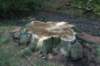 dsc01101_small.jpg