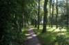 dsc01241_small.jpg
