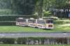 dsc01251_small.jpg