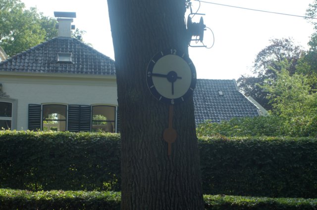 dsc01254.jpg