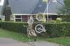 dsc01261_small.jpg