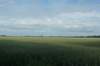 dsc01262_small.jpg