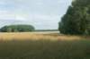 dsc01267_small.jpg