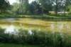 dsc01268_small.jpg