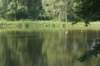 dsc01270_small.jpg