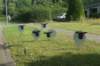 dsc01272_small.jpg