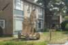 dsc01279_small.jpg