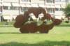 dsc01291_small.jpg