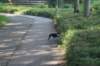 dsc01292_small.jpg