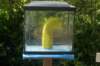 dsc01299_small.jpg
