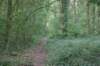 dsc01300_small.jpg