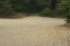 dsc01301_small.jpg