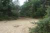 dsc01303_small.jpg