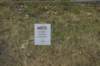 dsc01305_small.jpg