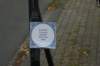 dsc01318_small.jpg