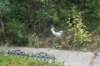 dsc01320_small.jpg