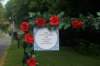 dsc01321_small.jpg