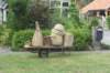dsc01323_small.jpg
