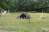 dsc01326_small.jpg