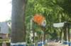 dsc01329_small.jpg