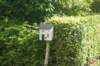 dsc01330_small.jpg