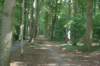 dsc01335_small.jpg