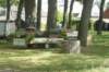 dsc01339_small.jpg