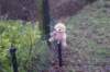 dsc02878_small.jpg