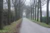 dsc02879_small.jpg