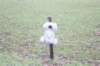 dsc02880_small.jpg