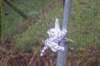 dsc02883_small.jpg