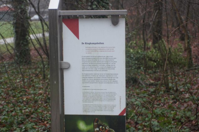dsc02885.jpg