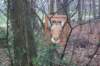 dsc02887_small.jpg