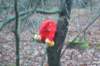 dsc02888_small.jpg