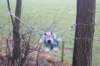 dsc02889_small.jpg