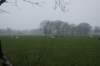 dsc02890_small.jpg