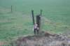 dsc02894_small.jpg