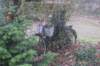 dsc02896_small.jpg