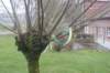 dsc02899_small.jpg